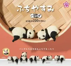 コンプ　ふちやすみ パンダ　全5種　ガチャ　フィギュア　ぱんだ