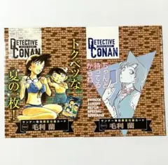 名探偵コナンカード 毛利蘭 サンデー特別限定付録カード