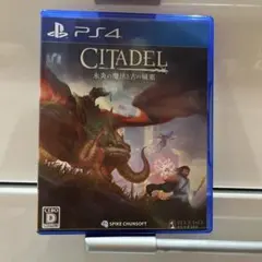 シタデル:永炎の魔法と古の城塞　PS4