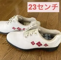 Item thumbnail for item d16d7ad8-6de4-44de-94af-8f2e07490ad0