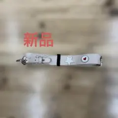 Item thumbnail for item 0ccc1751-fa94-4faf-b52e-85d76a48aa29