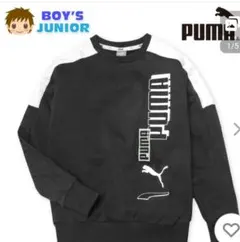 トレーナー PUMA/プーマ 000 サイズ130