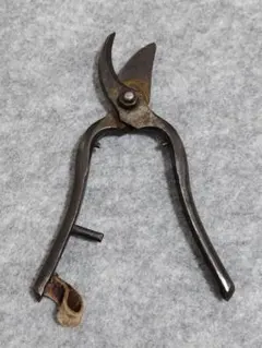 2025年最新】剪定鋏レトロの人気アイテム - メルカリ