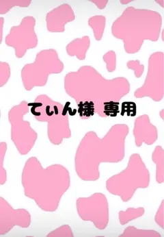 てぃん様専用