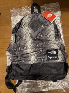 THE NORTH FACE × Supreme 貴重‼︎未使用新品デッドストック