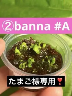 【ネコポス❣️】たまご☻様 リクエスト 4点 まとめ商品