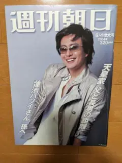 週刊朝日 2004年6月4日増大号