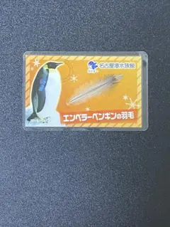 【非売品】名古屋港水族館 エンペラーペンギンの羽毛 カード