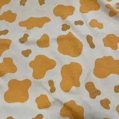 ニット生地BMのサムネイル