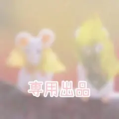 ✓﻿12/4まで ★様専用