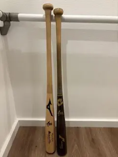 Mizuno Pro & ディマリニ硬式バットセット
