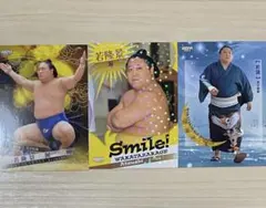 2025年最新】大相撲カードの人気アイテム - メルカリ