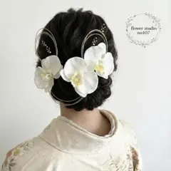 Item thumbnail for item aab90b6c-beca-4ce0-9100-e79b91e67ad3