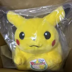 ポケットモンスター　おかえり!ピカチュウ1/1 ポケモン30周年記念