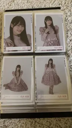 2025年最新】向井純葉 生写真 コンプの人気アイテム - メルカリ