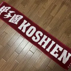 甲子園　タオル　赤　えんじ色