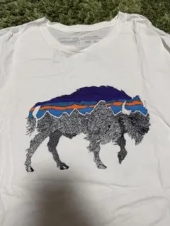 Patagonia バイソンデザイン Tシャツ M