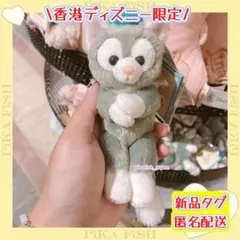【現地購入☆正規品】ジェラトーニ　ぬいぐるみマグネット　香港ディズニー