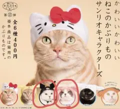 かわいいかわいいねこのかぶりもの サンリオキャラクターズ