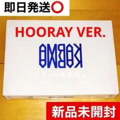 新品未開封 straykids スキズ CD karma アルバム HOORAY