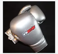 Item thumbnail for item e0578913-6f04-4f40-9e85-040ad2095c39