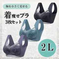 【2L】着痩せ ブラ シームレス ダーク 3枚 補正 ナイト 美胸 小さく見せる