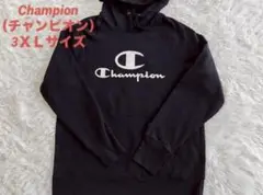 Champion （チャンピオン） 長袖ロゴパーカー