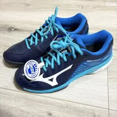 新品未使用 MIZUNO ミズノ テニスシューズ ウェーブエクシード2 25cm