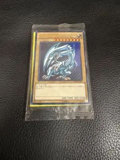 青眼の白龍　秘蔵レア SCB1-JPP01