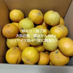 訳あり・加工用　大阪府産　夏みかん10Kg（サイズ色々・皮に難あり）のサムネイル