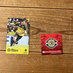 柏レイソル 細谷真大 2025ルヴァンカップ 9番