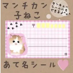 おまとめ買いで割引☆マンチカンの子猫の宛名シール50枚！差出人印字無料★