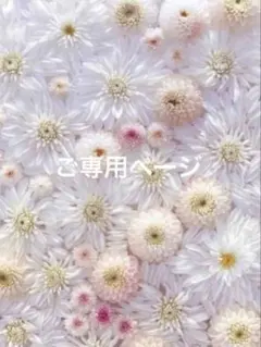 ひまわり様 ご専用ページ