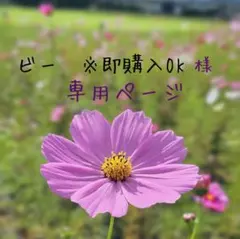 ビー ※即購入OK様★専用ページ