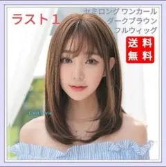 匿名配送 新品 フルウィッグ セミロング ワンカール ダークブラウン 医療用