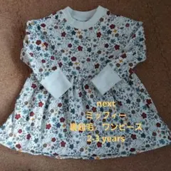 next ネクスト miffy ミッフィー 花柄 裏起毛 ワンピース 総柄