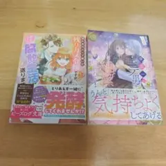 恋愛ご法度の魔女見習いなのに、学園一のモテ男から純潔を狙われています　他一冊
