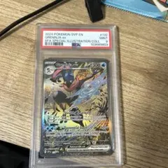 2025年最新】ゲッコウガ 英語 psaの人気アイテム - メルカリ