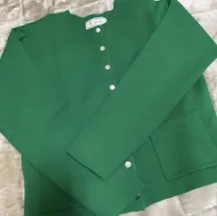 ロペピクニック