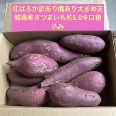 C紅はるか茨城県産訳あり傷あり約5.0キロ箱込み