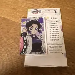 鬼滅の刃　胡蝶 しのぶ 大集中展　ランダムアクリルマグネット