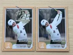 Item thumbnail for item d83134c1-9537-45db-b46d-ae87651b8f6c