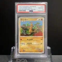 2025年最新】ウソッキー psa10の人気アイテム - メルカリ