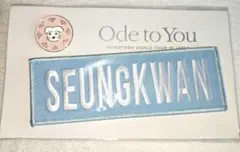 SEVENTEEN セブチ スングァン ワッペン ピンバッジ オデコン SEVENTEEN セブチ スングァン ワッペン ピンバッジ オデコン - メルカリ