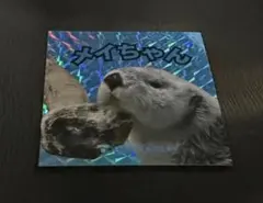 鳥羽水族館 おえかき水族館 ステッカー シール メイちゃん