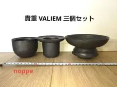 極上 アガベ イシスメンシス valiem バリエム アガベ イシスメンシス 白銀甲蟹 - メルカリ