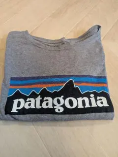 Patagonia パタゴニア ロゴ Tシャツ グレーのサムネイル
