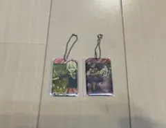 激レア メタルチャームコレクション ポケモンセンター ふりそで ミニスカート