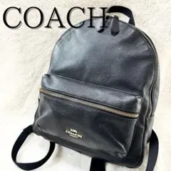 【ご専用ページ】COACHコーチ オールレザー リュック バッグパック ブラック