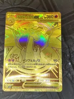 メガリザードンxex mur